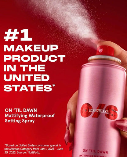 Professional Waterproof Mattifying Setting Spray